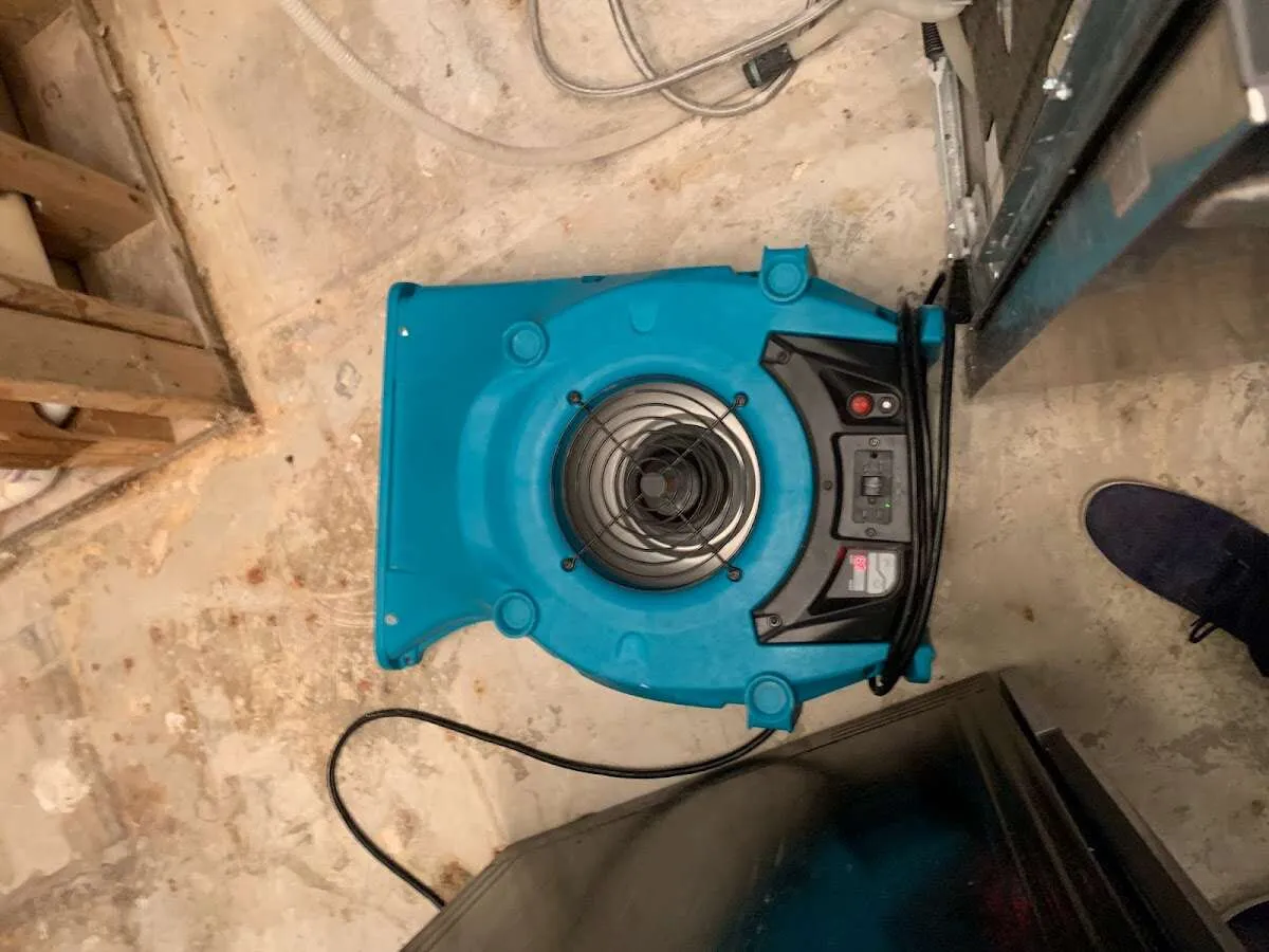 Air mover drying equipment for Mold Remediation & Removal in Belmont