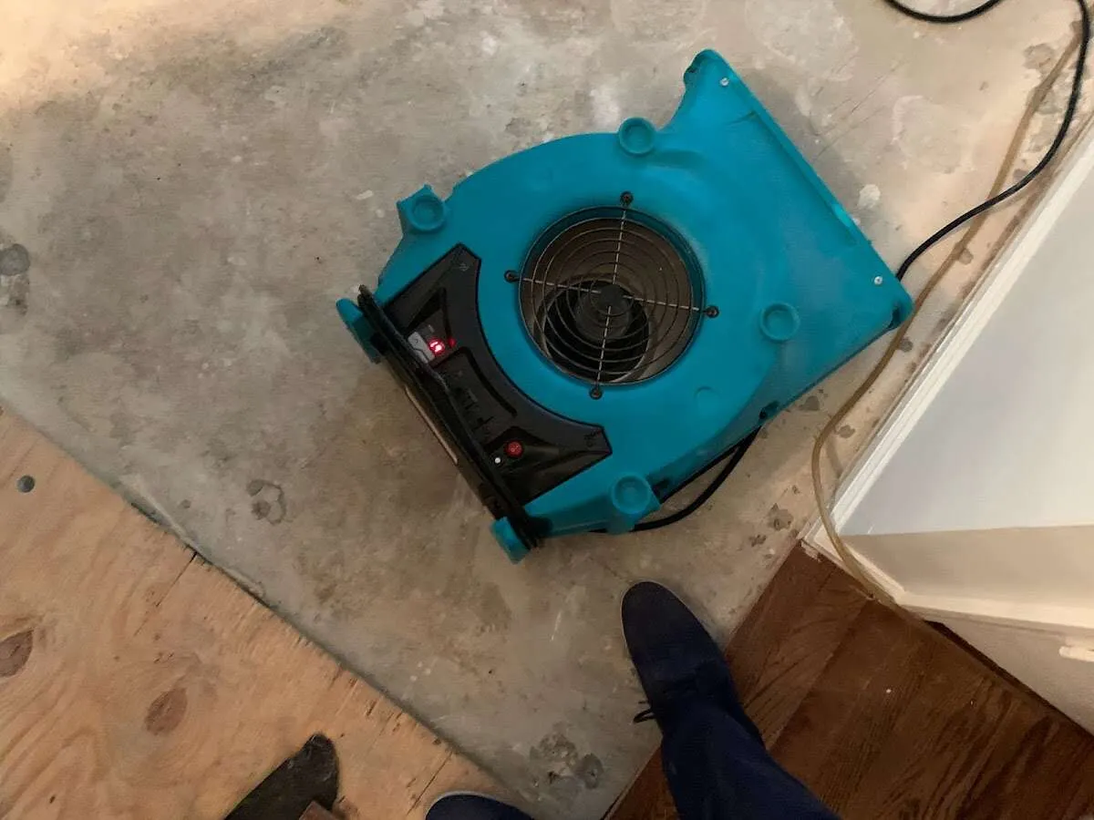 Air mover drying subfloor during Leak Detection & Repair in Belmont